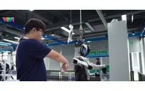 AI thay đổi yêu cầu về nguồn nhân lực