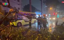 Cây xanh gãy nhánh đè trúng hai vợ chồng đi xe máy, 1 người tử vong