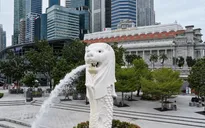 Singapore phổ cập kỹ năng AI cho toàn bộ công chức