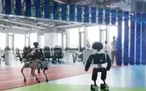 “Trường mầm non” giúp robot học từ thế giới thực