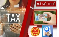 Được cấp mã số thuế, người nộp thuế cần kiểm tra ngay những thông tin này