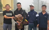Bắt đối tượng truy nã về hành vi gây rối trật tự công cộng