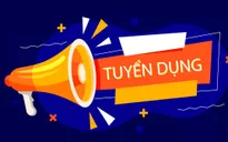 Tuyển dụng lao động hợp đồng làm việc tại Ban Kiểm tra, Đài THVN