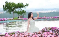 Lâm Đồng tăng tốc chuẩn bị Festival Hoa Đà Lạt 2026
