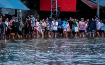 El Nino làm thay đổi "bản đồ" bão nhiệt đới toàn cầu