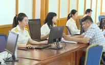 TP. Hồ Chí Minh chuẩn hóa dữ liệu người nộp thuế