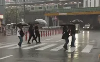 Kỷ lục 34 ngày mưa liên tiếp tại Tokyo