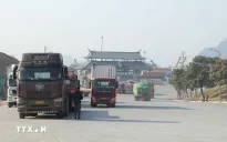 Tích hợp cổng một cửa cho hoạt động xuất nhập khẩu