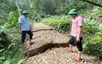 Thanh Hóa di dời khẩn cấp 180 người khỏi khu vực nguy cơ sụt lún, sạt lở
