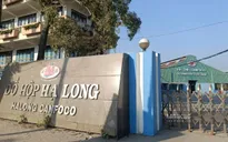 Cựu Tổng Giám đốc Đồ hộp Hạ Long lĩnh 19 năm tù trong vụ 197 tấn thịt lợn bệnh