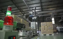 Tăng trưởng sản xuất cuối năm từ bệ đỡ thị trường nội địa