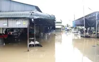 Lâm Đồng: Hơn 300 hecta cây trồng bị ngập úng, nhiều hộ dân, du khách phải sơ tán do mưa lớn