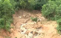 Chủ động ứng phó nguy cơ lũ quét và sạt lở đất