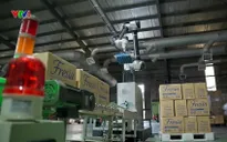 Thúc đẩy sản xuất trong nước và tiêu dùng nội địa