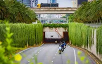 Hà Nội thí điểm phủ xanh trụ metro, cầu vượt và nhà chờ xe buýt