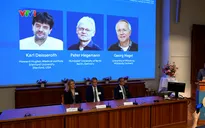Giải Nobel Y sinh 2026: Dùng ánh sáng để điều khiển tế bào thần kinh