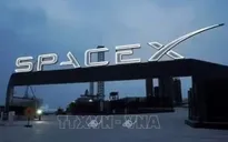 SpaceX huy động 40 tỷ USD để mua chip Nvidia