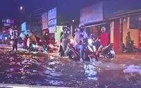TP Hồ Chí Minh: Xây dựng dữ liệu ngập từ phản ánh của người dân