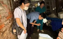 Hà Nội: Thêm 12 ổ dịch sốt xuất huyết phát sinh trong tuần qua