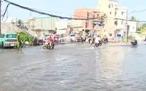 Triều cường dâng cao, ảnh hưởng đời sống người dân TP Hồ Chí Minh và Cần Thơ