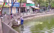 Hồ Mục Bài ô nhiễm, không gian sinh thái bị lãng phí