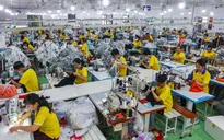 Kinh tế TP Hồ Chí Minh tăng trưởng cao nhất 10 năm