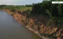 Quảng Ngãi: Sạt lở sông Trà Khúc, người dân lo mất đất, mất nhà