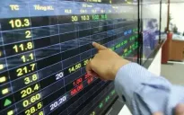 VN-Index hồi phục, cổ phiếu vàng tăng trần