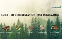 Việt Nam công bố bản đồ ranh giới rừng phiên bản 1.0