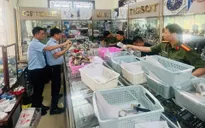 Khởi tố chủ cửa hàng bán hơn 2.100 đồng hồ giả mạo nhãn hiệu Rolex, Hublot