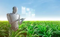 Tạo bệ phóng cho các sản phẩm AI của người Việt