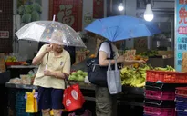Bão Champi gây ảnh hưởng nghiêm trọng tại Đông Bắc Á