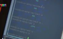Nhật Bản thành lập đội “hacker mũ trắng”