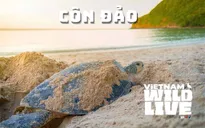 Vietnam Wild Live mùa 1: Dấu ấn tiên phong và sức hút được minh chứng qua những con số