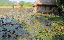 Tiếng gọi Mai Châu
