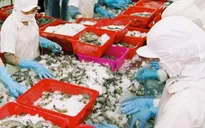 Nông sản Việt "lên ngôi" tại thị trường Rumani