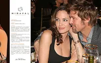 Rượu vang của Jolie-Pitt cháy hàng