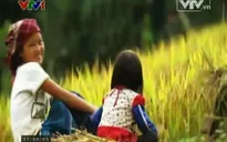 Mù Cang Chải - Đẹp và sống động