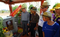 Đừng làm đờn ca tài tử biến chất