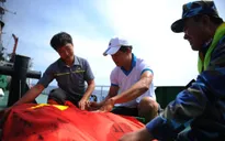 Nghệ sĩ nhiếp ảnh Nguyễn Á: May mắn trong cuộc đời là được ra Hoàng Sa