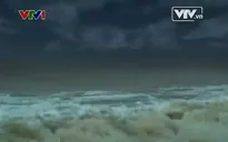 Đặc sắc phim tài liệu "Lịch sử và lựa chọn" (11h05, 10/8, VTV1)