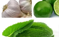 Những bài thuốc đơn giản chữa viêm họng