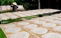 Làng nghề bánh tráng Quảng Nam vào Tết