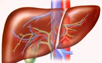 Kỹ thuật can thiệp nội mạch điều trị u gan