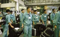 Năm 2014, Hàn Quốc tiếp nhận trở lại lao động Việt Nam