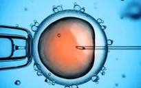 Tìm thấy gene liên quan đến vô sinh