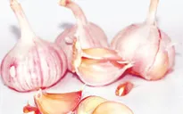 Ăn tỏi giảm nguy cơ ung thư phổi