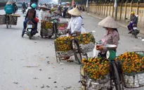 Giải tỏa vi phạm hành lang ATGT Quốc lộ 32