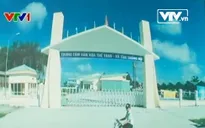 TP.HCM: Sơ kết chương trình mục tiêu xây dựng Nông thôn mới