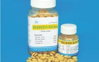Thai phụ không được dùng berberin, vì sao?